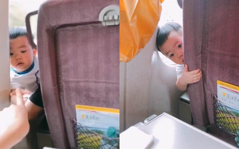 蔡桃貴高鐵騷擾乘客 「鑽縫對手指」萌翻網友