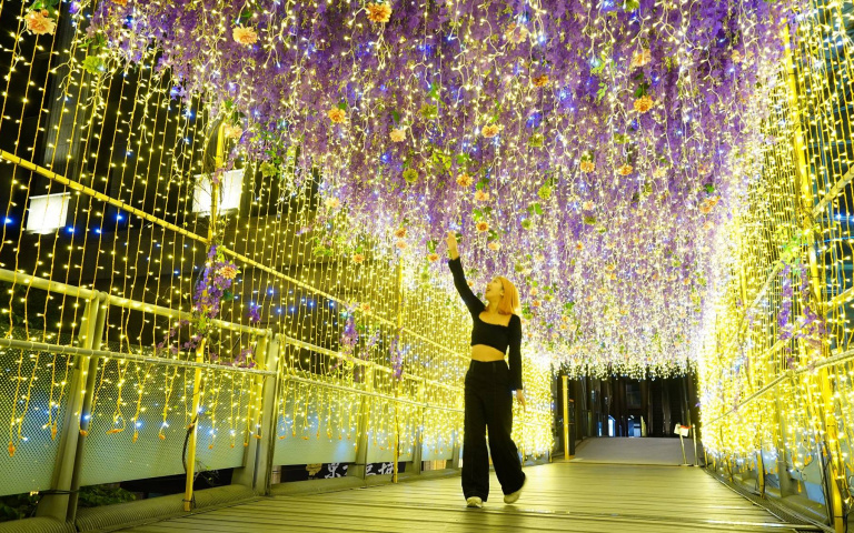新北耶誕城搶先看2／穿梭7大光廊、4條祈福大道　板橋夜空點亮啦！