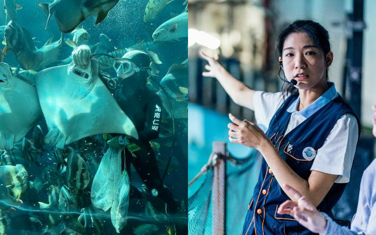 熱愛傳遞海洋之美　屏東海生館「海洋女聲」齊發聲