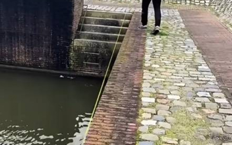 主人散步牽繩竟然在水裡　運河裡遛狗畫面曝光