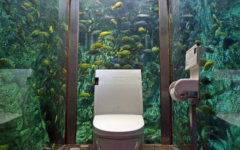 超有衝擊性!超狂餐廳打造「水族箱廁所」,300隻魚和烏龜盯著你「釋放壓力」!