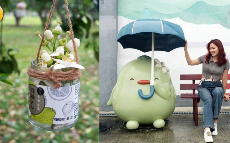 府城花正開3／麻豆柚花季捎來春意　走訪「柚兒園」打卡大型壁畫　入住南科贊美酒店吃免費宵夜