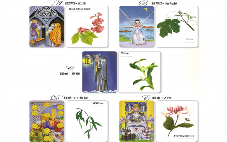 花精塔羅占卜/近期你會有什麼好運降臨?