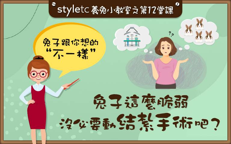 想和兔兔永不分離?「結紮手術」動起來,別讓心疼壞了大事!