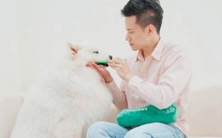 留意面臨狗狗口腔危機！獸醫師建議「潔出三指標」，幫狗狗潔出一口、守護口腔健康