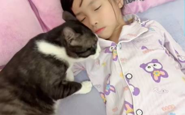 拒當高冷貓!奔向女孩胸懷畫面曝 全網都好羨慕