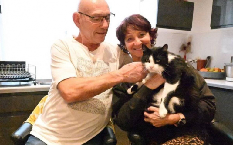 全網看哭！迷路貓咪跨越法西邊境走250公里回家 苦撐4個月只為再見主人