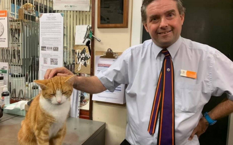 橘貓英國車站「打工」3年終轉正　粉絲跨海朝聖「首席捕鼠官」