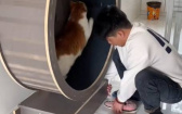 貓咪差點把跑步機跑垮！　網嘆：主人買到便宜貨