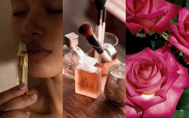 女生最愛的玫瑰精油優點是什麼？哪些人不適合？最佳用法一次告訴你！