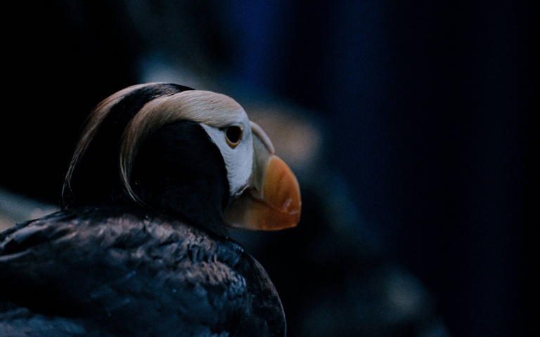 海生館帶你親手餵食鯊魚　近距離觀察鯊魚如何進食