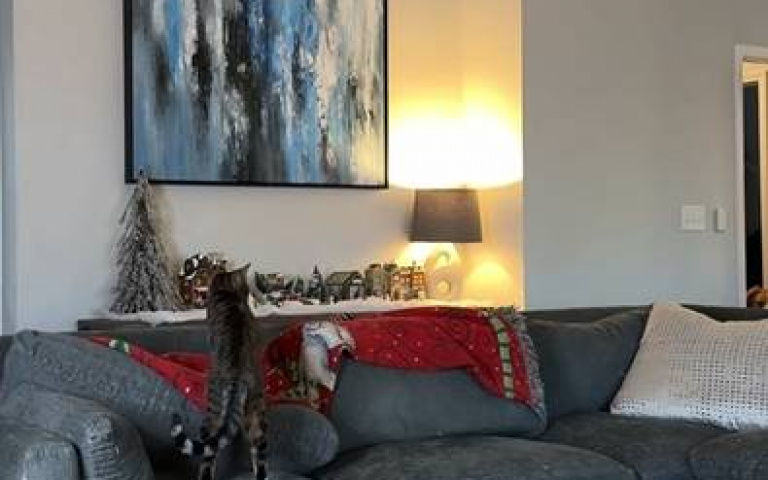 女主人和狗狗玩躲貓貓！　貓咪出來送分…牠們渾然不覺