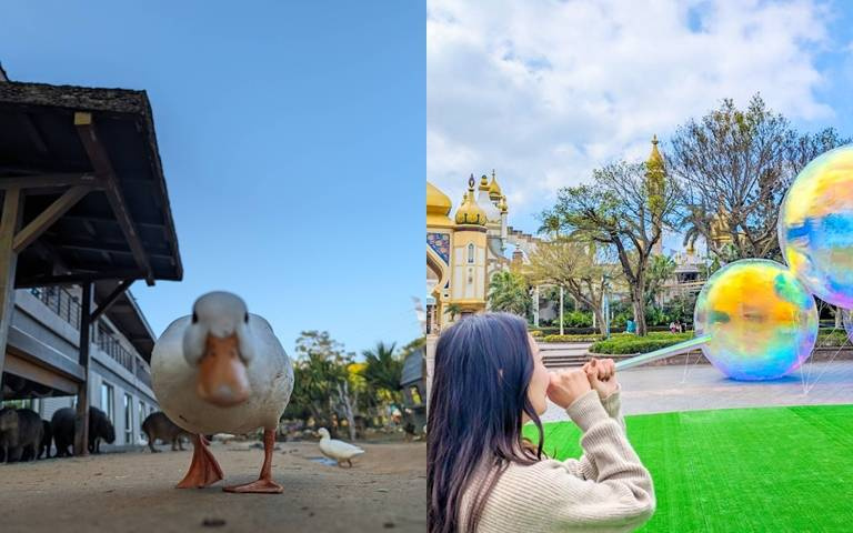 開窗就能看見「柯爾鴨」！4人入住飯店享早餐和兩日暢玩遊樂園！