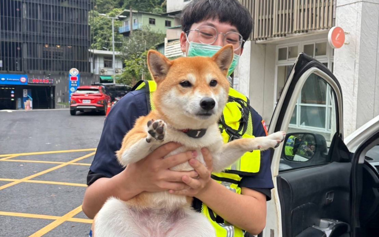 柴柴山區迷航竟直接跳上警車　鮮肉警抱萌犬找主人直呼「融化了」