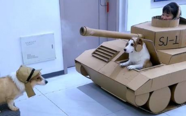 紙戰車砲擊力道及準度都不足　柯基氣到下車開揍