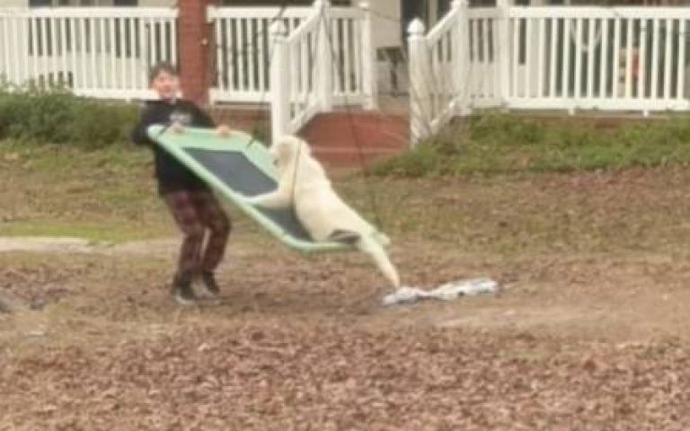 小男孩和狗狗一起玩吊床　畫面太美…家長默默錄下這一幕