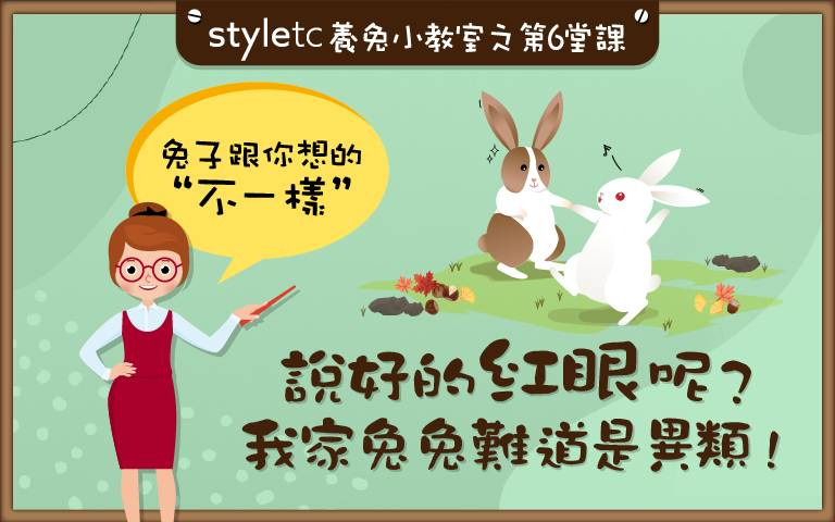 胡蘿蔔吃太多?兔子「紅眼原因」大揭密,原來是缺少了「這個」!