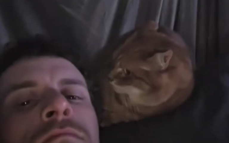 狗、貓隔著主人對峙　氣氛太凝重連他也不敢說話