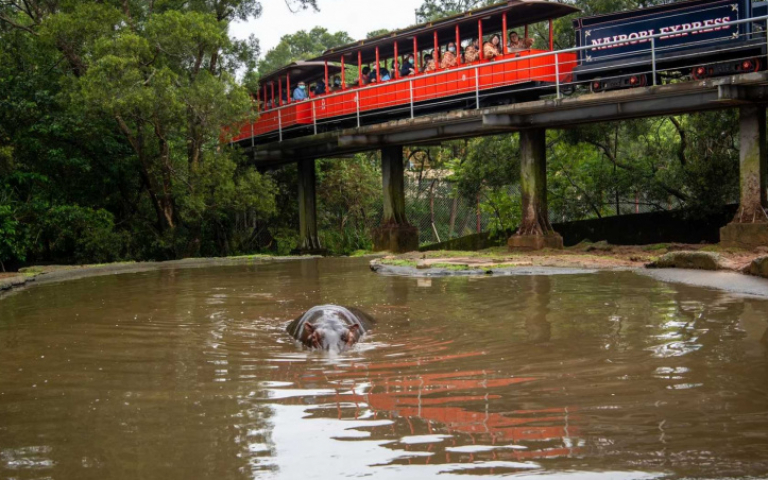 清明連假玩很大！3大旅遊景點活動滿滿　還有超值優惠High翻天