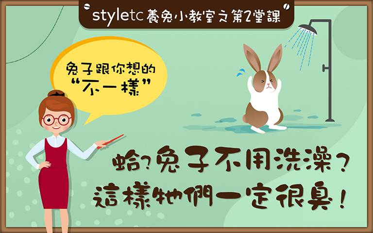 拜託,別再幫倒忙了!兔子可以「自己洗澎澎」,牠們比你還愛乾淨!