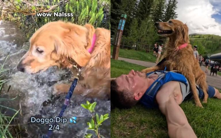 帶愛犬參加鐵人三項！毛小孩攜手主人38mins完賽…累癱在他胸膛