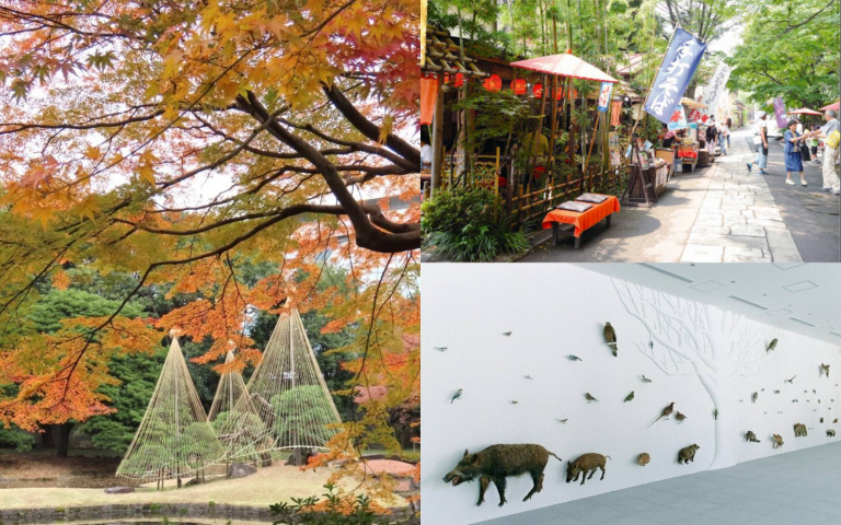 東京賞楓新玩法！從庭園、山林到古寺，三條絕美秋日賞楓路線公開
