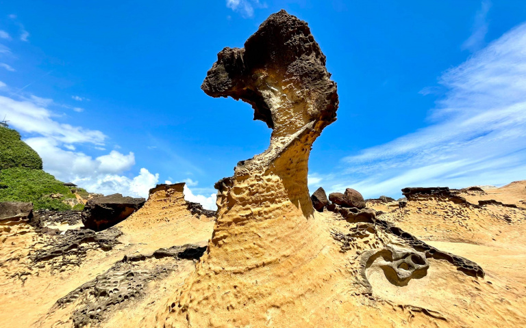 親子出遊好去處！野柳地質公園12歲以下兒童免費入園