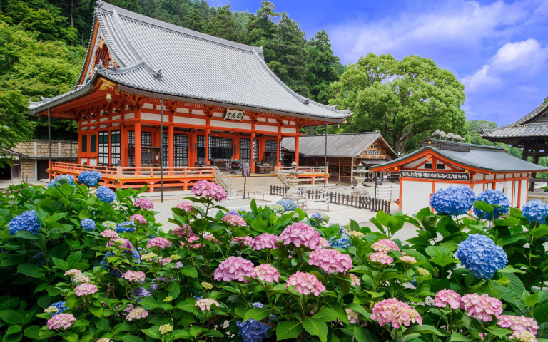日本飯店「夏日輕旅・繡球花季」快閃優惠!贈自助早餐、足貼與福助襪!