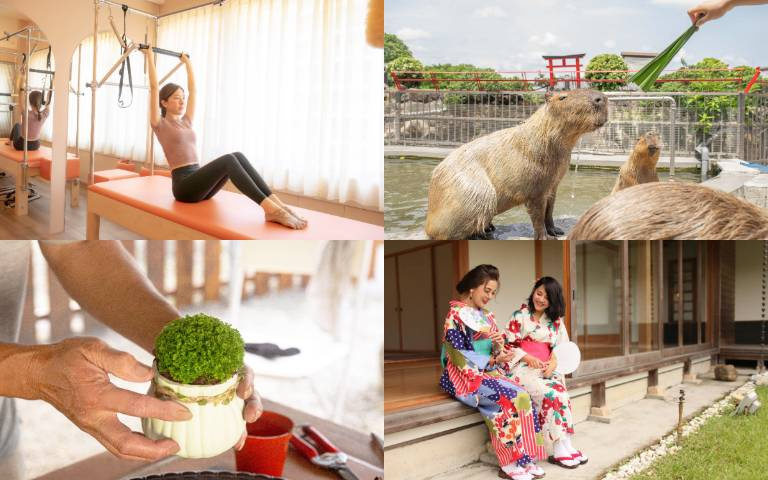 晶英推出一站式旅遊，讓你輕鬆安排屬於自己的天堂！七盞茶跟你一起打造魔法禮盒，讓你驚喜連連