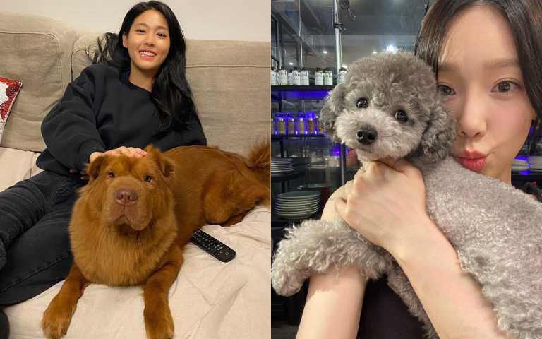 下輩子想成為牠們!明星毛孩媲美主人光芒