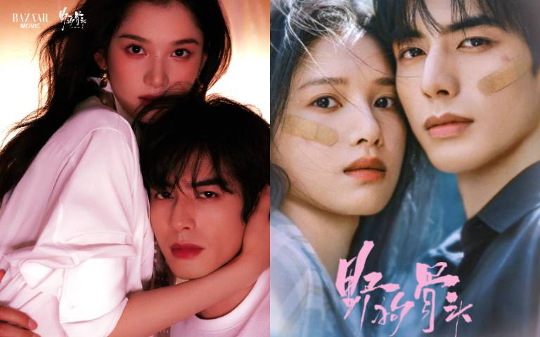 2026話題陸劇《野狗骨頭》亮點：宋威龍、張婧儀高顏值組合創高收視，「偽兄妹」虐戀在破碎中雙向救贖
