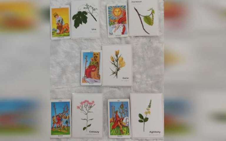 花精塔羅占卜／下半年如何擺脫渣男？