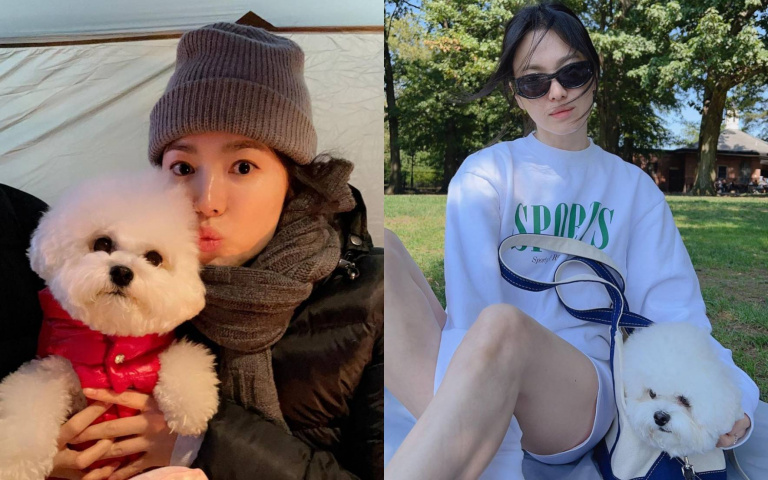 宋慧喬私下真實性格？合作過的男演員都大讚：豪爽又灑脫