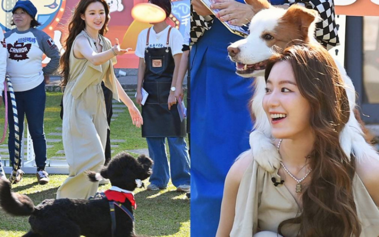 舒華家有貴賓柴犬作伴　 女神降臨毛小孩一秒躺入懷