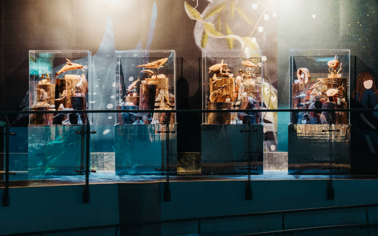 屏東海生館推夜宿超值優惠方案！加碼線上抽獎活動，獲得海洋福袋！