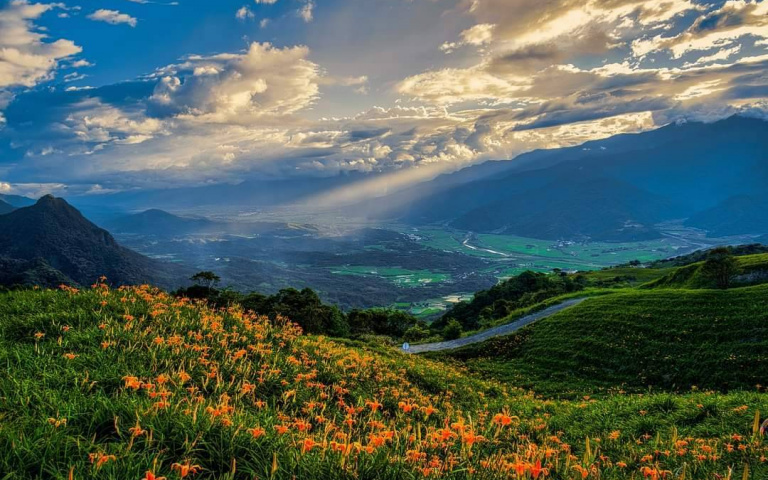 全台最美！花蓮金針花季開跑　耶穌光灑80公頃花海「小瑞士」絕美如仙境