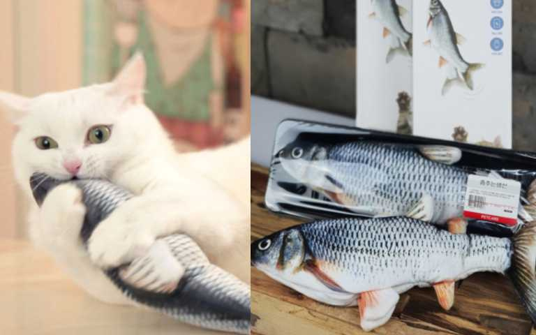 疫情在家陪玩到很厭世?活跳跳「鮮魚」逗貓玩具獵奇登場,恭喜主人總算能去睡一下啦!