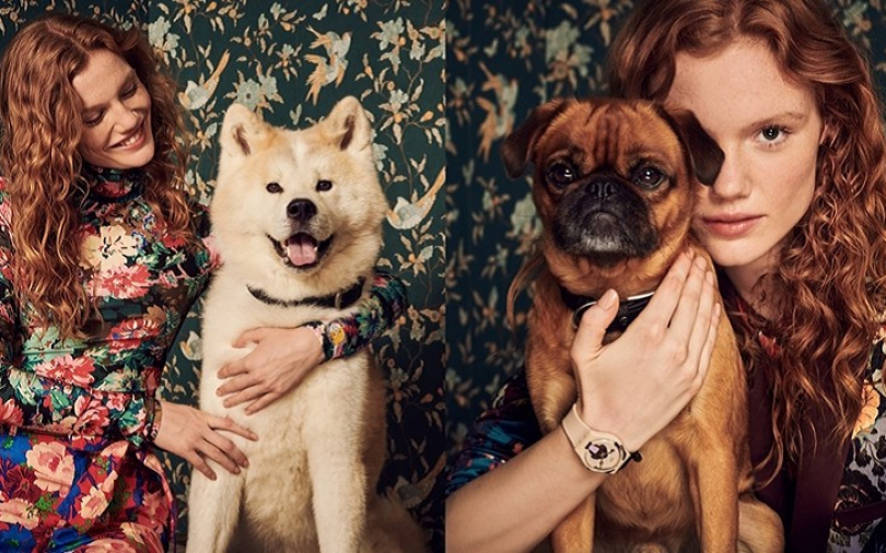狗狗超搶鏡!Swatch派出萌犬當model力推秋冬同款可愛腕錶