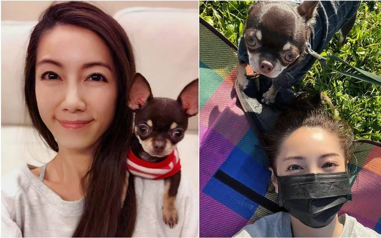 寵物情緣／林韋君公開親密「枕邊狗」：覺得自己不用生了，牠就是我的小孩