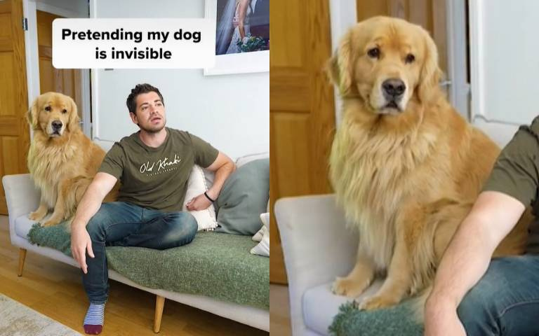 假裝狗狗是隱形的！他瘋狂忽略下秒直接被巴頭