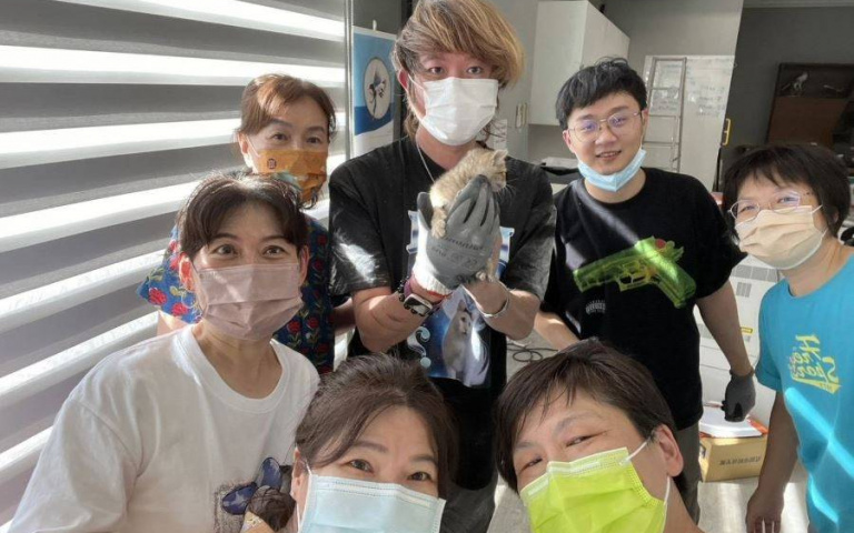 八里工廠牆壁傳微弱聲響竟是小貓受困　闆娘霸氣「拆牆救喵」收編成家人