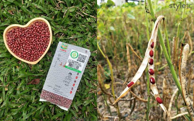 認識好食材！粒大皮薄、色澤鮮紅的「久盛鮮紅豆」，不用浸泡就能煮來吃！