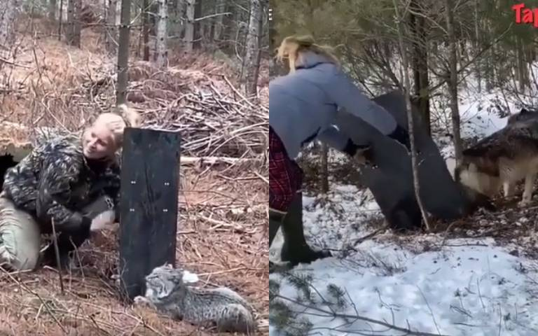 超狂「鐵板救援」！底下挖個洞緩步接近…拯救動物成功