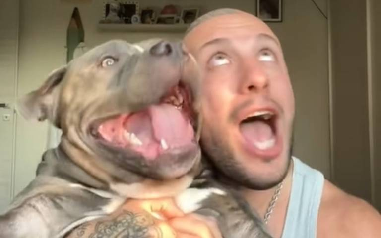 學主人露出驚恐表情　可愛狗狗「神同步」影片曝光