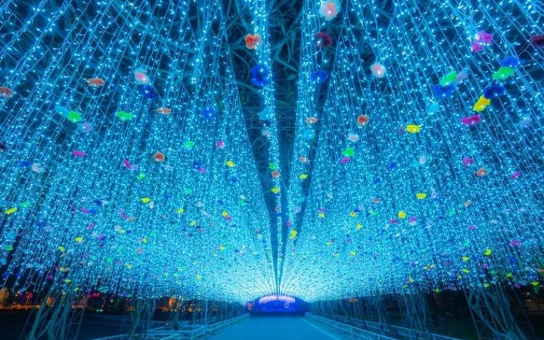 南台灣最大歐風童話小鎮 屏東聖誕節點燈「藍玫瑰」璀璨燈海美翻了