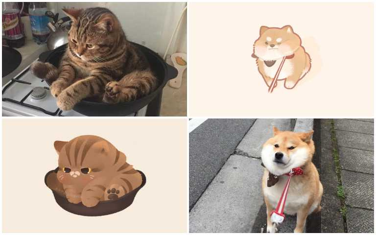 萌翻天啦!療癒插畫模擬動物日常,柴柴、謎樣貓越看越可愛!