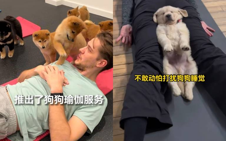 狗狗陪做瑜珈！　不僅能鍛鍊身體、還能治癒心靈