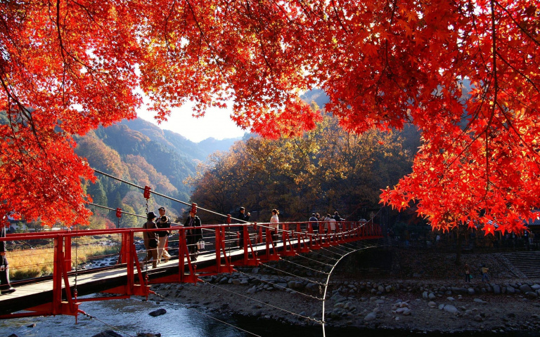 秋季賞楓推薦！從香嵐溪到阿里山，日韓台楓紅美景一次看！