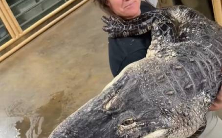 女子稱「帶懶洋洋的Puppy」出門散步　網友一看嚇爛：不太對勁