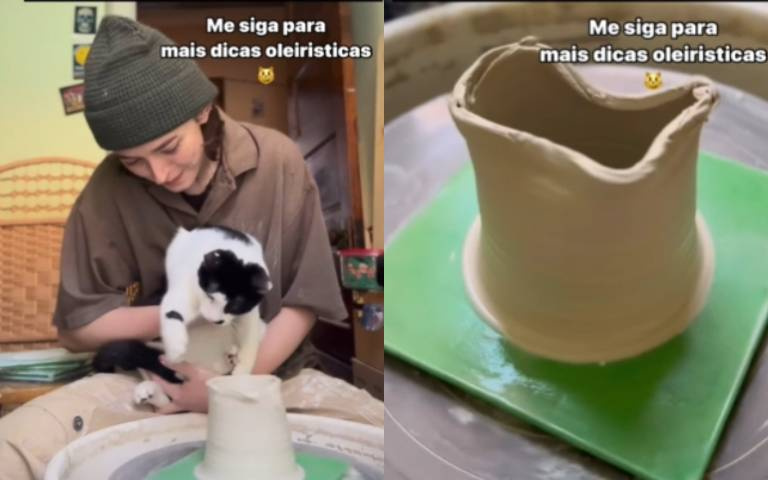 小貓咪做手拉坏！成品曝光你給幾分？